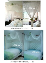 日本代購熱潮 從普羅旺斯篷白到佳能相機，多元化購物新選擇